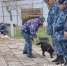 Команда кинологов СИЗО-2 Армавира заняла 2 место на первенстве УФСИН - GorodArmavir.Ru