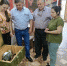 В Армавире в музее появились новые экспонаты из зоны СВО - Муниципальный вестник Армавира