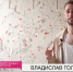 Предприниматель из Армавира стал участником программы «Квартирный вопрос» - Муниципальный вестник Армавира