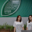 Армавирцы могут поступить в техникумы федерального проекта «Профессионалитет» - Муниципальный вестник Армавира