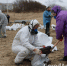 Бизнес Армавира призвали помочь спасти Черное море - GorodArmavir.Ru