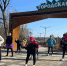 В Армавире 8 марта в парке «Городская Роща» прошел легкоатлетический забег в юбках-пачках - GorodArmavir.Ru