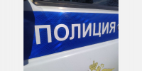 В Армавире по факту попытки убийства кота проводится проверка - GorodArmavir.Ru