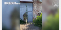 Организаторы азартных игр в Армавире получили реальные сроки заключения - GorodArmavir.Ru