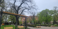 Более тысячи армавирцев приняли участие в голосовании за территории для благоустройства в 2026 г. - Муниципальный вестник Армавира