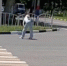 В Армавире горожане просят полицию приструнить хулиганку танцующую у дороги - Муниципальный вестник Армавира