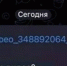 Мошенники оформили на жительницу Армавира 9 микрозаймов за 40 минут - Муниципальный вестник Армавира