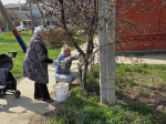 Весенние субботники