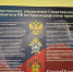 Уголовное дело возбудили после нападения бездомных собак на мальчика в Армавире - GorodArmavir.Ru