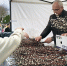 В Армавире отмечают Вербное воскресенье - Муниципальный вестник Армавира
