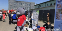 В Армавире Ярмарку трудоустройства посетили более 3 тысяч человек - GorodArmavir.Ru